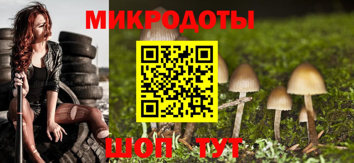 Псилоцибиновые грибы GOLDEN TEACHER Дмитров